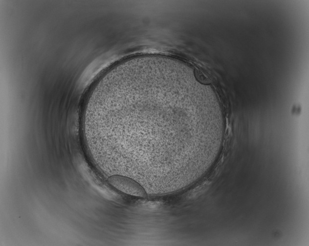 X0000115250247200911201649