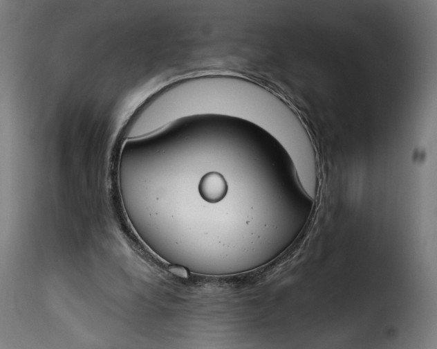 X0000115250248200911201649