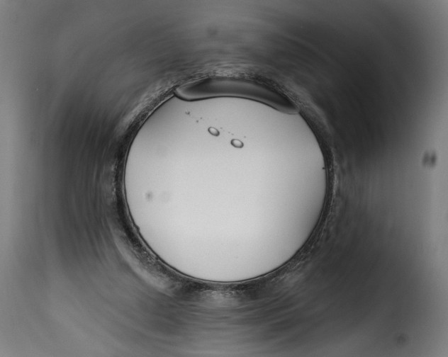 X0000115250250200911201649