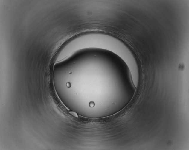 X0000115250252200911201649