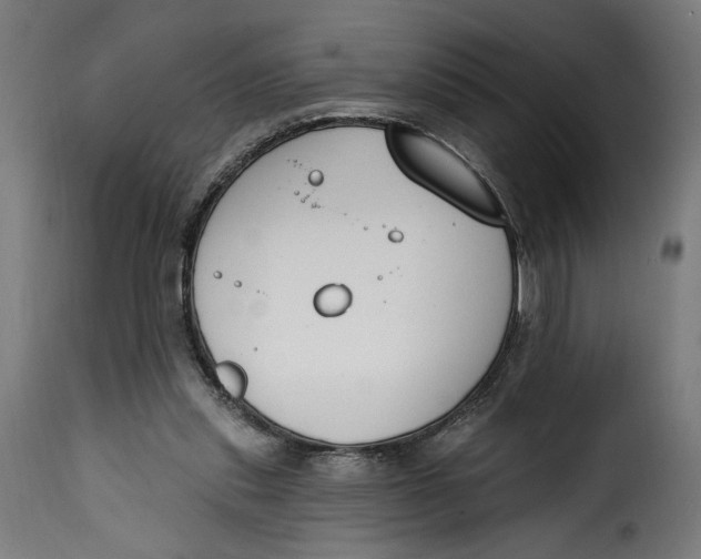 X0000115250253200911201649