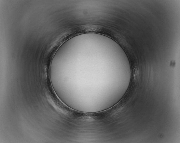 X0000115250254200911201649