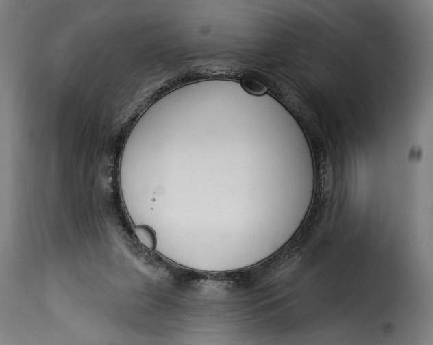 X0000115250255200911201649