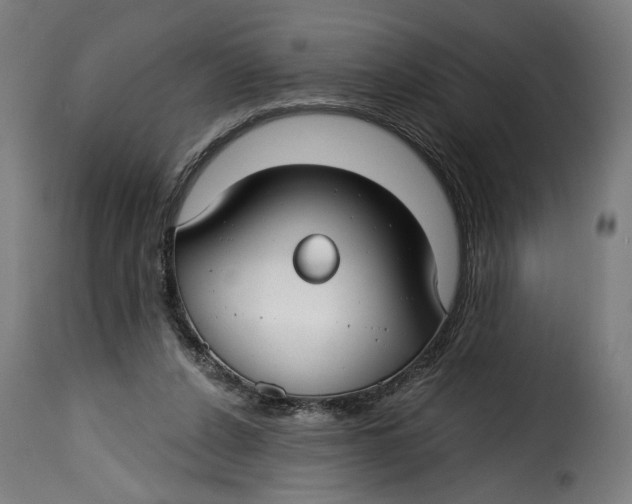 X0000115250256200911201649