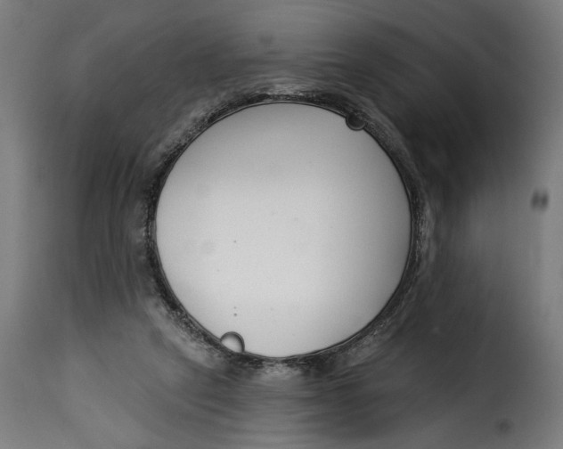 X0000115250257200911201649