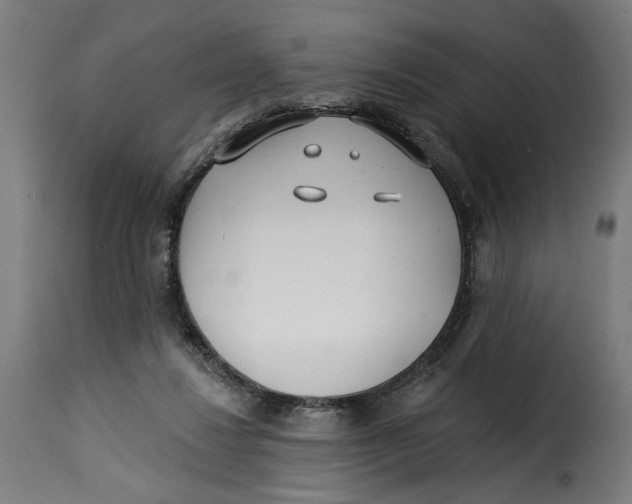 X0000115250260200911201649