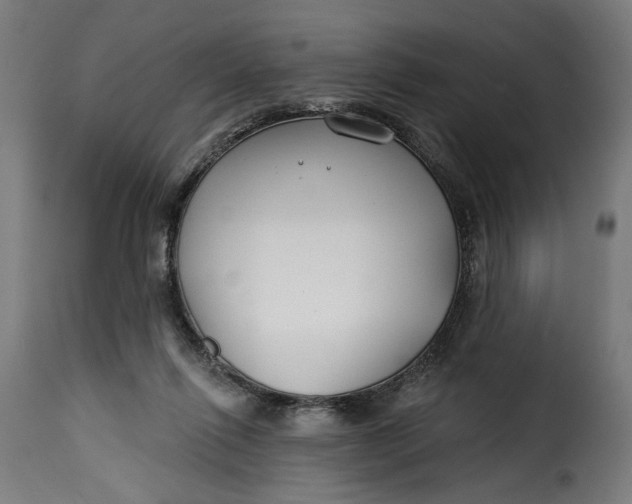 X0000115250262200911201649