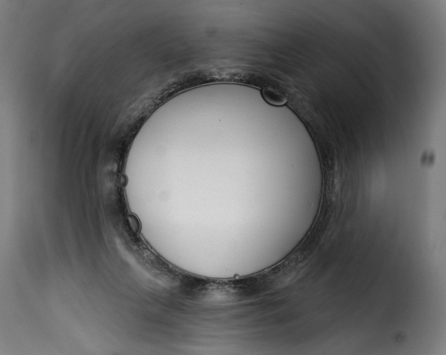 X0000115250263200911201649