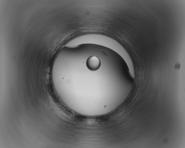 X0000115250264200911201649