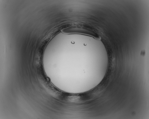 X0000115250266200911201649