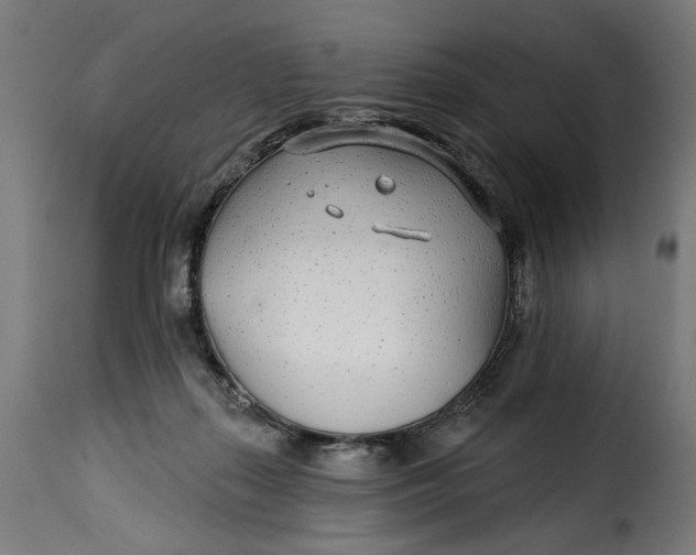 X0000115250267200911201649