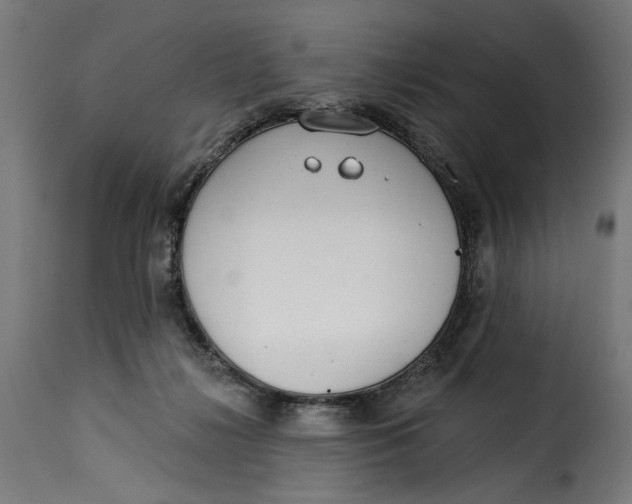 X0000115250268200911201649