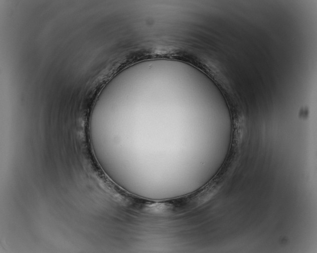 X0000115250269200911201649