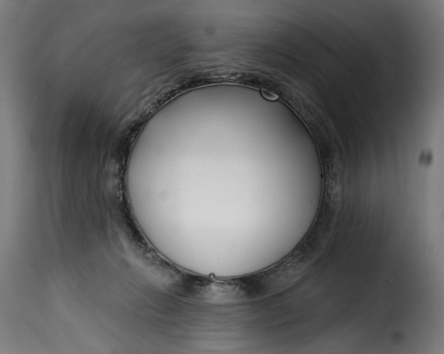 X0000115250270200911201649