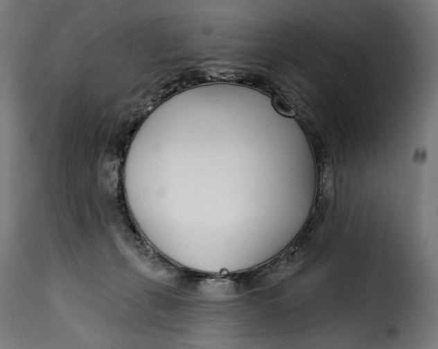 X0000115250271200911201649