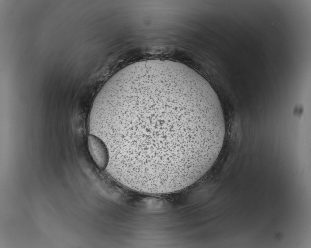 X0000115250272200911201649