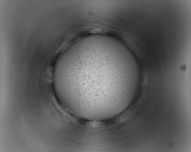 X0000115250273200911201649