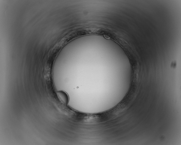 X0000115250274200911201649