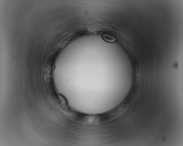 X0000115250275200911201649