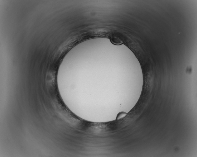 X0000115250278200911201649