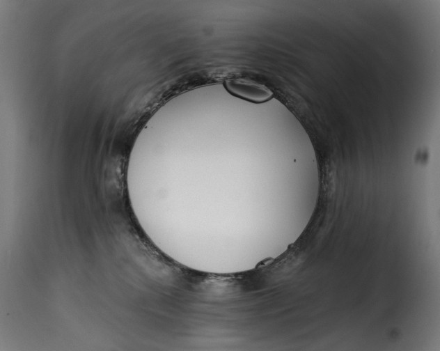 X0000115250280200911201649