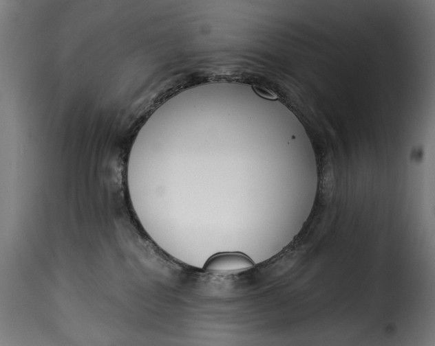 X0000115250282200911201649