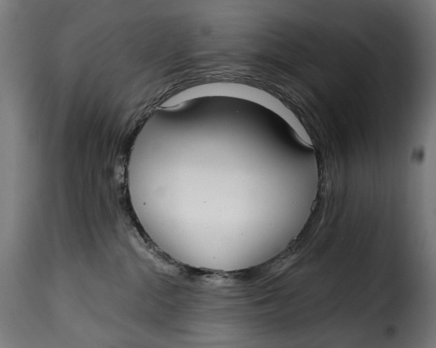 X0000115250284200911201649