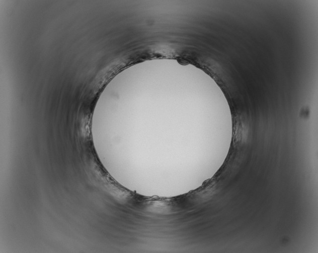 X0000115250285200911201649