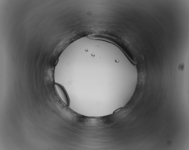 X0000115250286200911201649