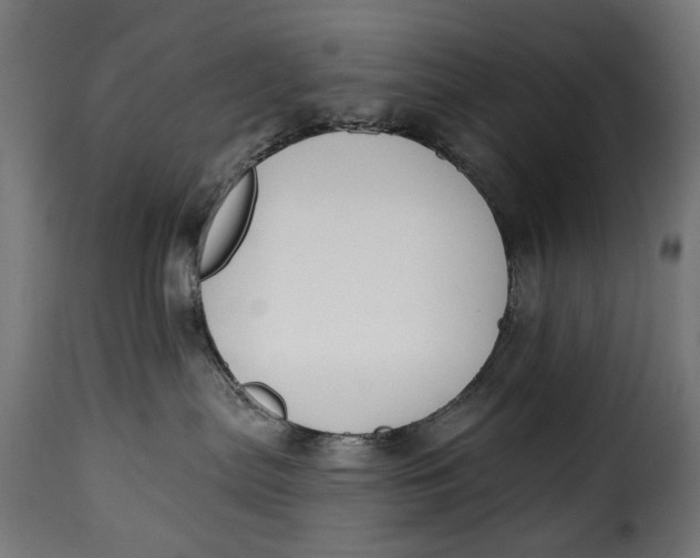 X0000115250287200911201649