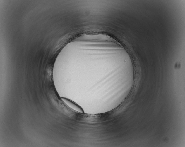 X0000115250288200911201649