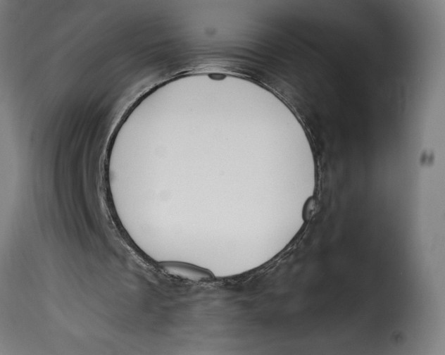 X0000115250289200911201649