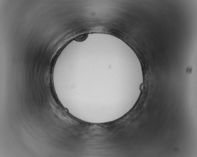 X0000115250290200911201649