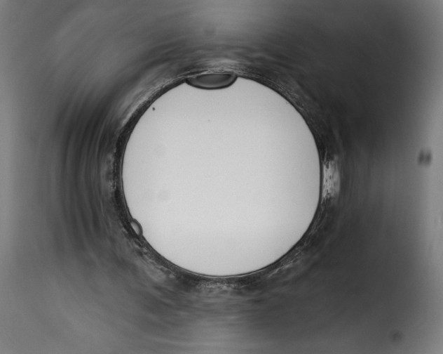 X0000115250291200911201649