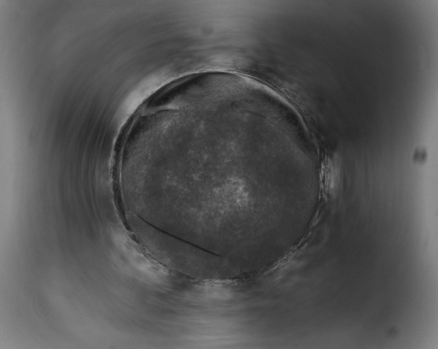 X0000115250292200911201648