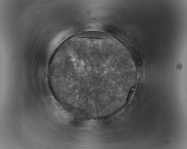 X0000115250293200911201648