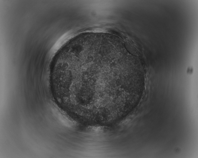 X0000115250295200911201648