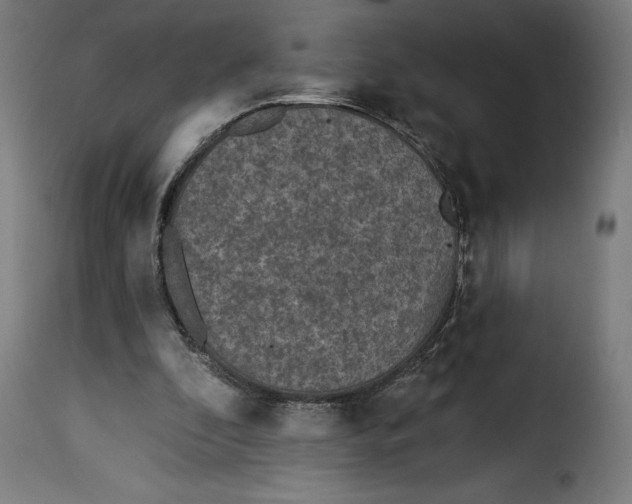 X0000115250296200911201648