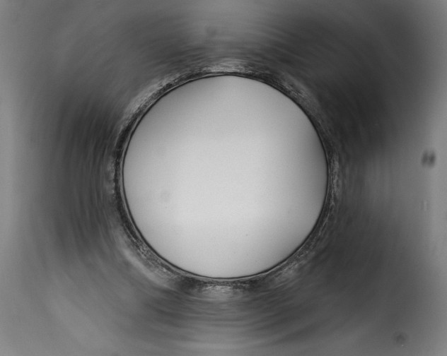 X0000115250298200911201648