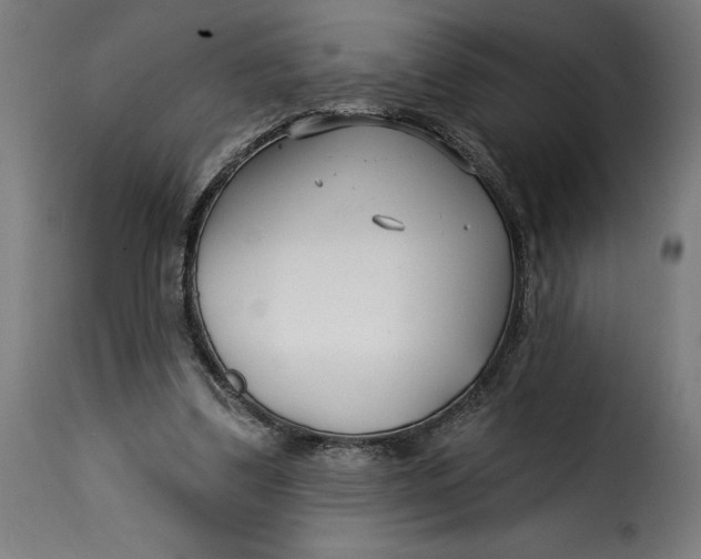 X0000115250299200911201648