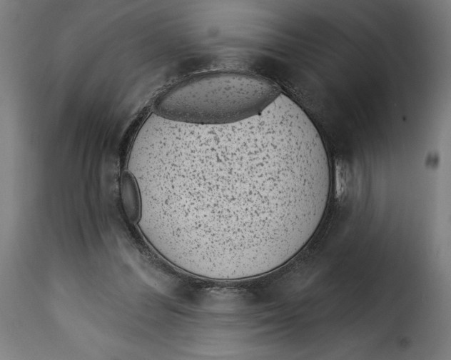 X0000115250300200911201648