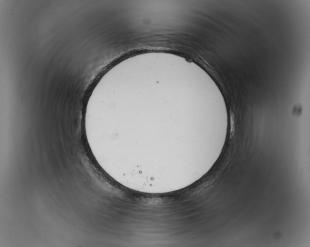 X0000115250301200911201648