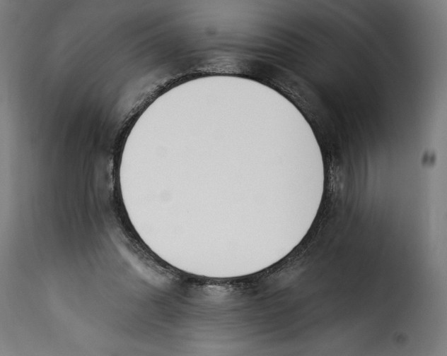 X0000115250302200911201648