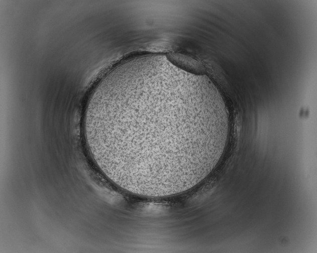 X0000115250303200911201648