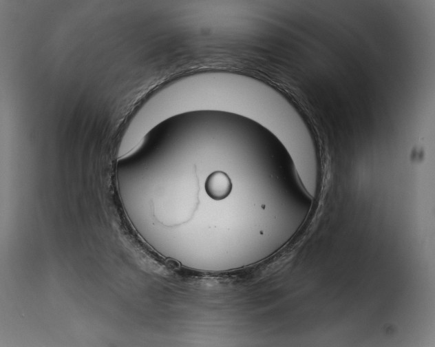 X0000115250305200911201648