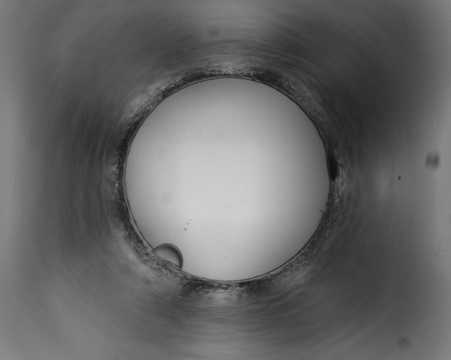 X0000115250306200911201648