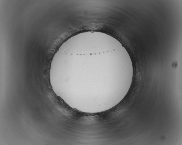 X0000115250307200911201648