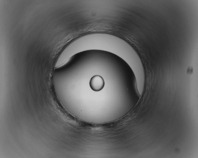 X0000115250309200911201648