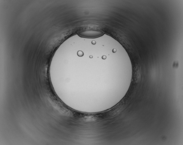 X0000115250310200911201648