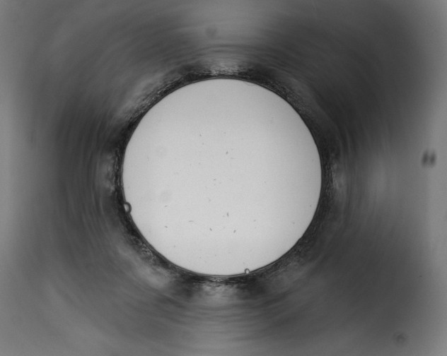 X0000115250311200911201648